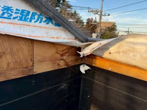ベニヤ下地まで水が侵入